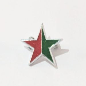 Red and Green Star Enamel Pin